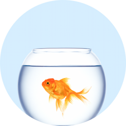 Peixes